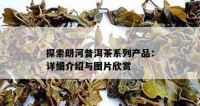 探索朗河普洱茶系列产品：详细介绍与图片欣赏