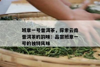 班章一号普洱茶，探索云南普洱茶的韵味：品尝班章一号的特别风味