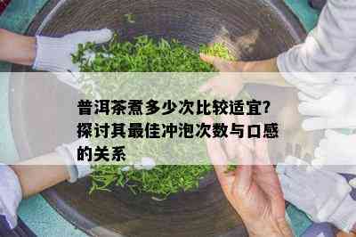 普洱茶煮多少次比较适宜？探讨其更佳冲泡次数与口感的关系