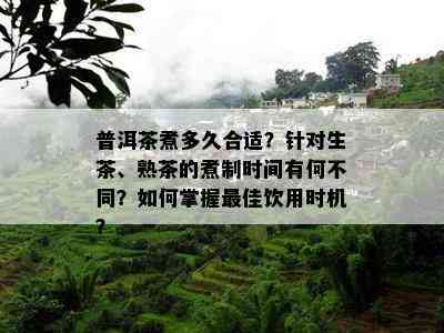 普洱茶煮多久合适？针对生茶、熟茶的煮制时间有何不同？怎样掌握更佳饮用时机？