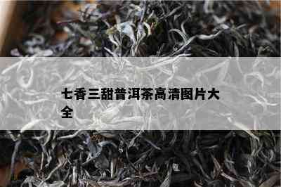 七香三甜普洱茶高清图片大全