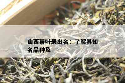 山西茶叶最出名：了解其知名品种及