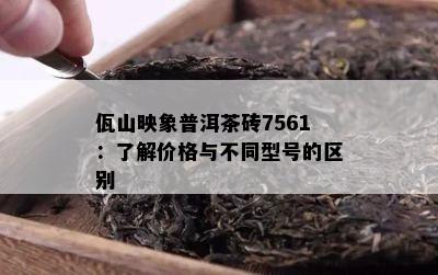 佤山映象普洱茶砖7561：熟悉价格与不同型号的区别