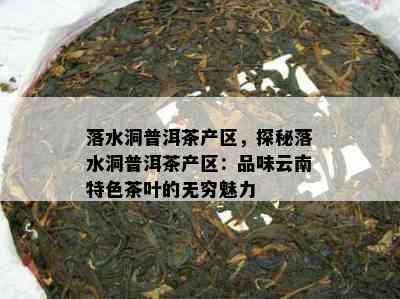 落水洞普洱茶产区，探秘落水洞普洱茶产区：品味云南特色茶叶的无穷魅力