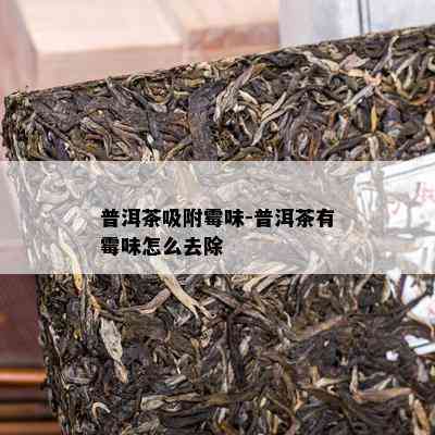 普洱茶吸附霉味-普洱茶有霉味怎么去除