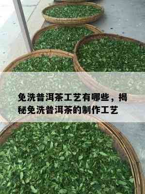 免洗普洱茶工艺有哪些，揭秘免洗普洱茶的制作工艺