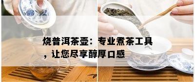 烧普洱茶壶：专业煮茶工具，让您尽享醇厚口感