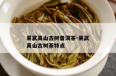 易武高山古树普洱茶-易武高山古树茶特点