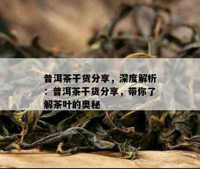 普洱茶干货分享，深度解析：普洱茶干货分享，带你熟悉茶叶的奥秘