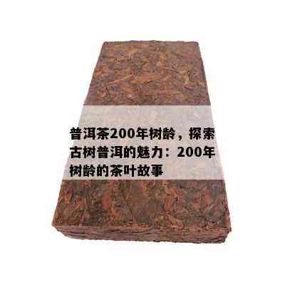 普洱茶200年树龄，探索古树普洱的魅力：200年树龄的茶叶故事