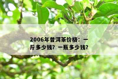 2006年普洱茶价格：一斤多少钱？一瓶多少钱？