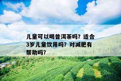 儿童可以喝普洱茶吗？适合3岁儿童饮用吗？对减肥有帮助吗？