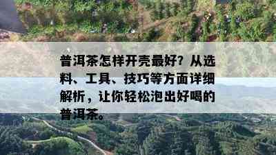 普洱茶怎样开壳更好？从选料、工具、技巧等方面详细解析，让你轻松泡出好喝的普洱茶。