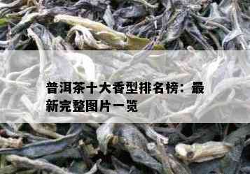 普洱茶十大香型排名榜：最新完整图片一览