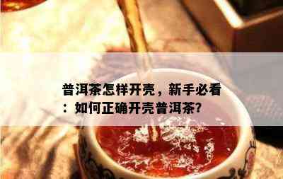 普洱茶怎样开壳，新手必看：怎样正确开壳普洱茶？