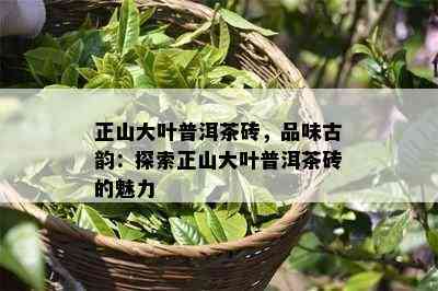 正山大叶普洱茶砖，品味古韵：探索正山大叶普洱茶砖的魅力