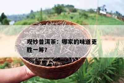 观妙普洱茶：哪家的味道更胜一筹？