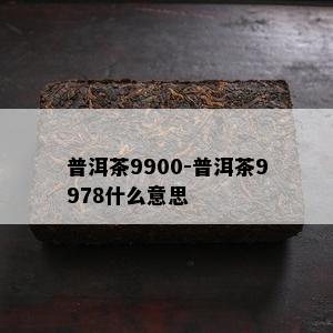 普洱茶9900-普洱茶9978什么意思