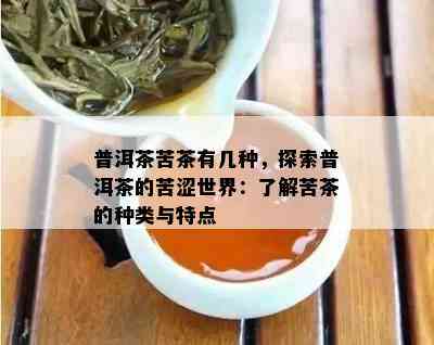 普洱茶苦茶有几种，探索普洱茶的苦涩世界：熟悉苦茶的种类与特点