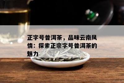 正字号普洱茶，品味云南风情：探索正宗字号普洱茶的魅力