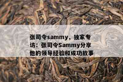 张司令sammy，独家专访：张司令Sammy分享他的领导经验和成功故事