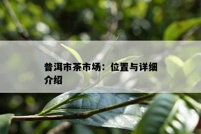 普洱市茶市场：位置与详细介绍