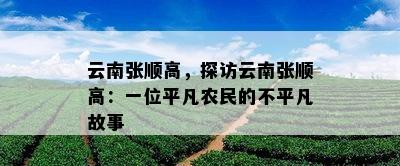 云南张顺高，探访云南张顺高：一位平凡农民的不平凡故事