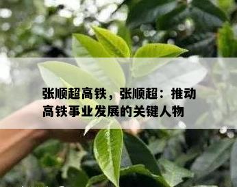 张顺超高铁，张顺超：推动高铁事业发展的关键人物