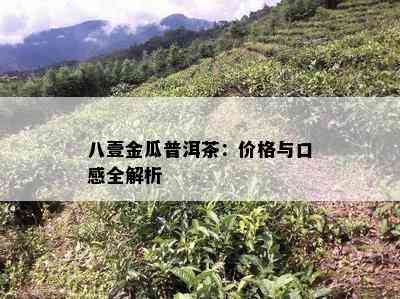 八壹金瓜普洱茶：价格与口感全解析