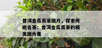 普洱金瓜贡茶图片，探索传统名茶：普洱金瓜贡茶的精美图片集