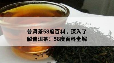 普洱茶58度百科，深入熟悉普洱茶：58度百科全解