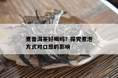 煮普洱茶好喝吗？探究煮泡方法对口感的作用