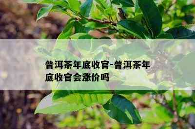 普洱茶年底收官-普洱茶年底收官会涨价吗