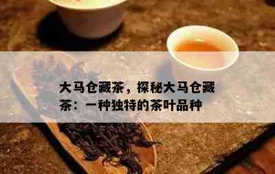 大马仓藏茶，探秘大马仓藏茶：一种特别的茶叶品种