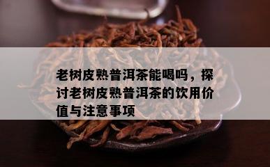 老树皮熟普洱茶能喝吗，探讨老树皮熟普洱茶的饮用价值与留意事项