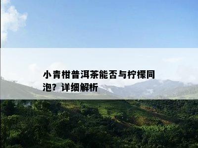 小青柑普洱茶能否与柠檬同泡？详细解析