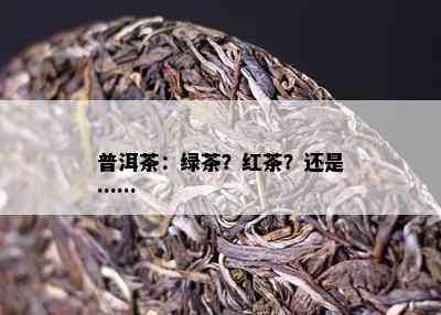 普洱茶：绿茶？红茶？还是……