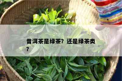 普洱茶是绿茶？还是绿茶类？