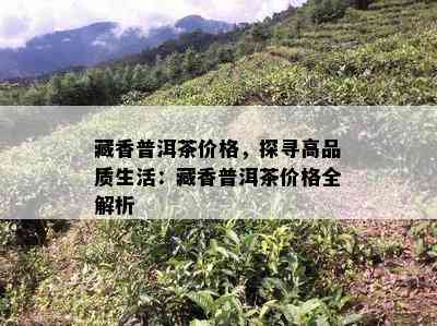 藏香普洱茶价格，探寻高品质生活：藏香普洱茶价格全解析