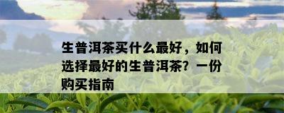 生普洱茶买什么更好，怎样选择更好的生普洱茶？一份购买指南