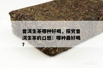 普洱生茶哪种好喝，探究普洱生茶的口感：哪种更好喝？