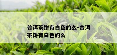 普洱茶饼有白色的么-普洱茶饼有白色的么