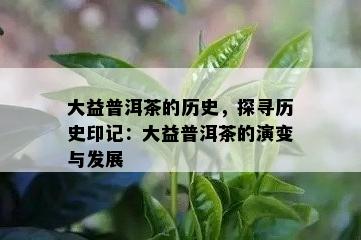 大益普洱茶的历史，探寻历史印记：大益普洱茶的演变与发展