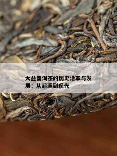 大益普洱茶的历史沿革与发展：从起源到现代