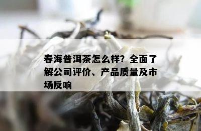 春海普洱茶怎么样？全面熟悉公司评价、产品品质及市场反响