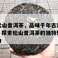 松山普洱茶，品味千年古韵：探索松山普洱茶的特别魅力