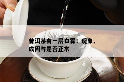 普洱茶有一层白雾：现象、成因与是不是正常