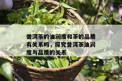 普洱茶的油润度和茶的品质有关系吗，探究普洱茶油润度与品质的关系