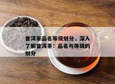 普洱茶品名等级划分，深入熟悉普洱茶：品名与等级的划分