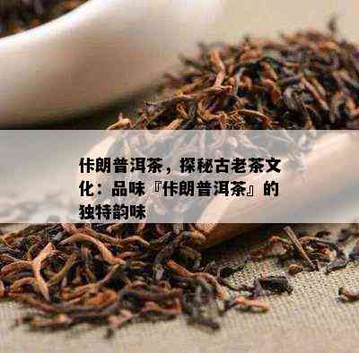 佧朗普洱茶，探秘古老茶文化：品味『佧朗普洱茶』的特别韵味